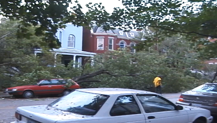 Hurricane Isabel in Richmond 2003