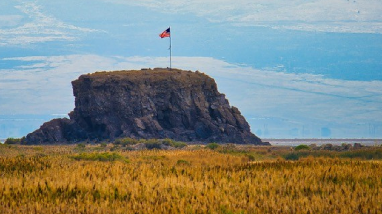 Black Rock Flag1.png