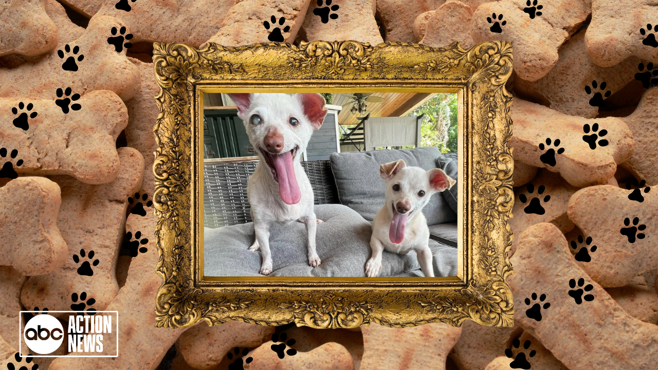 Rescues in Action: Norma and Bates