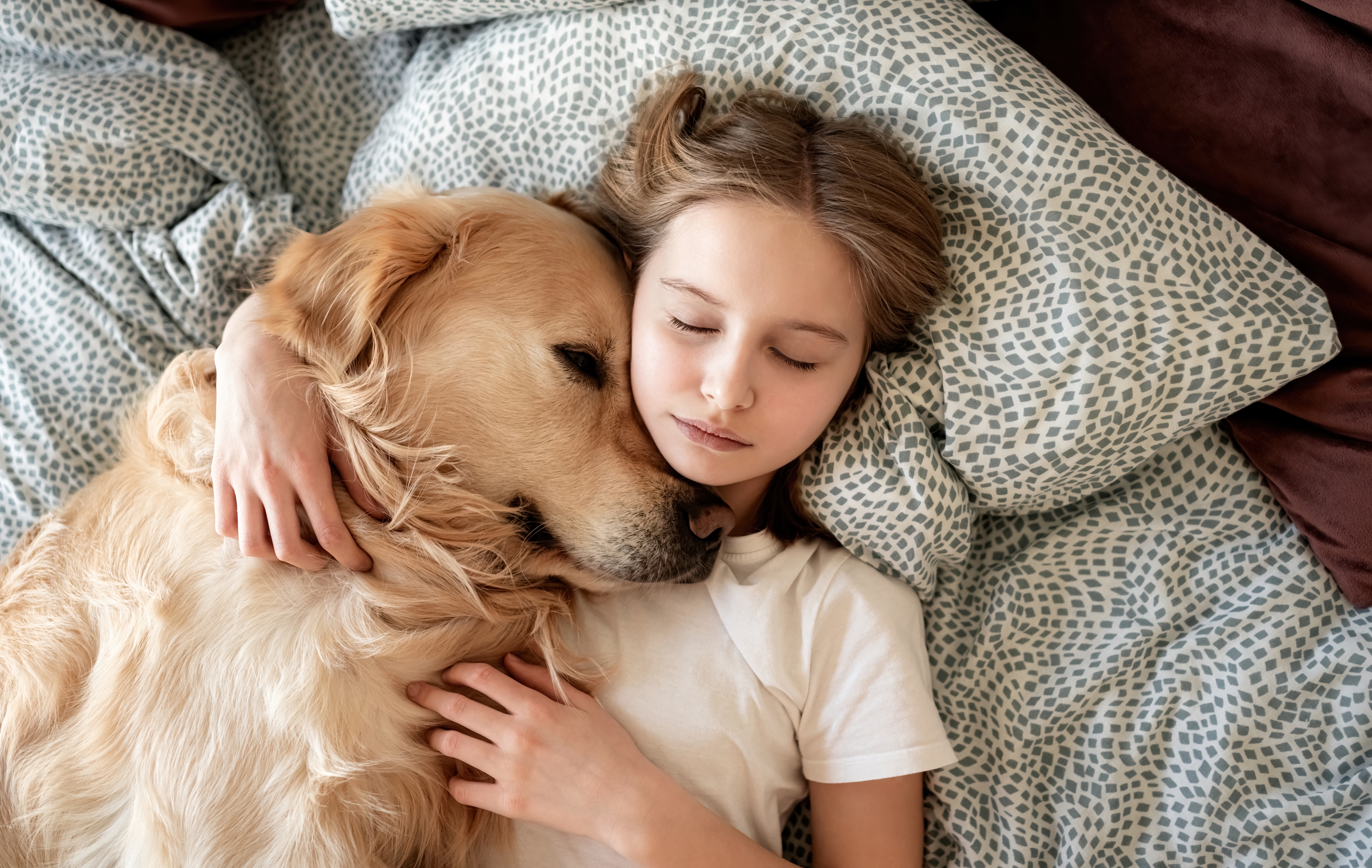Dog and owner sleep in the same bed.