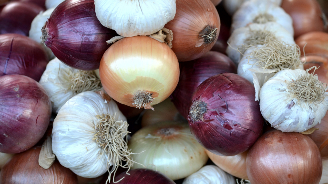ONIONS
