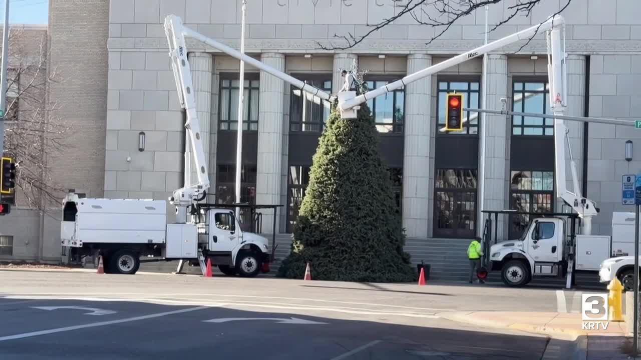 Christmas tree goes up in downtown Great Falls