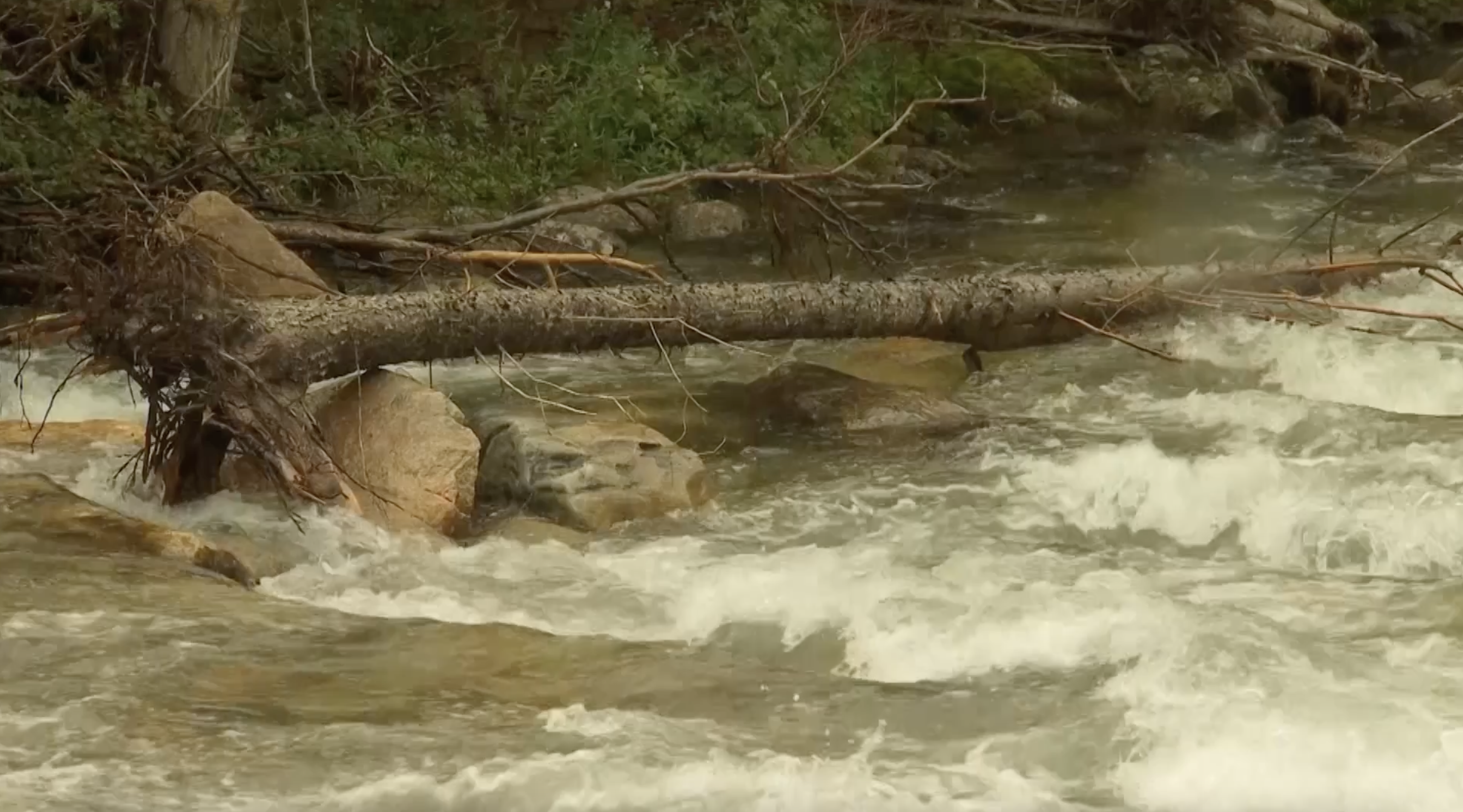 Screenshot 2023-08-08 at 8.31.23 PM.png