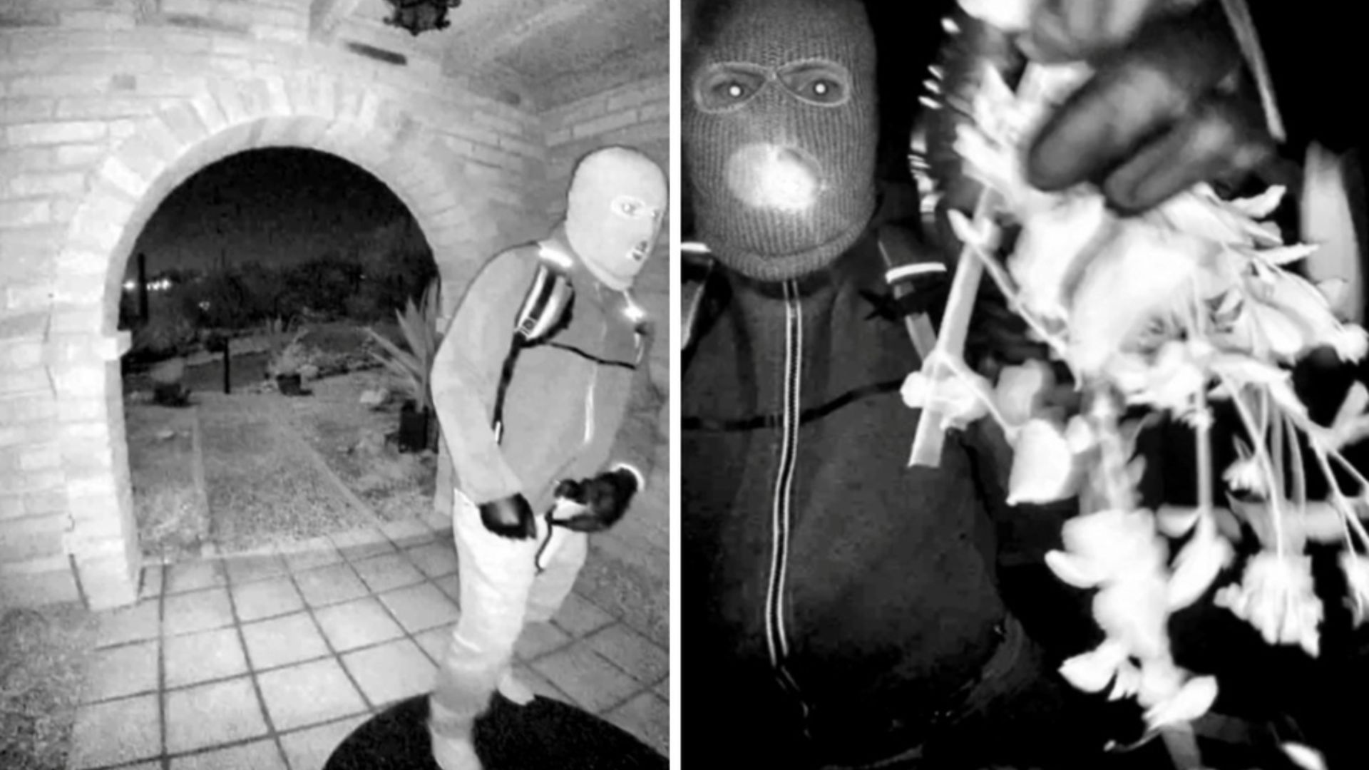 Surveillance footage shows a masked suspect on the front porch of Nancy Guthrie's Arizona home.