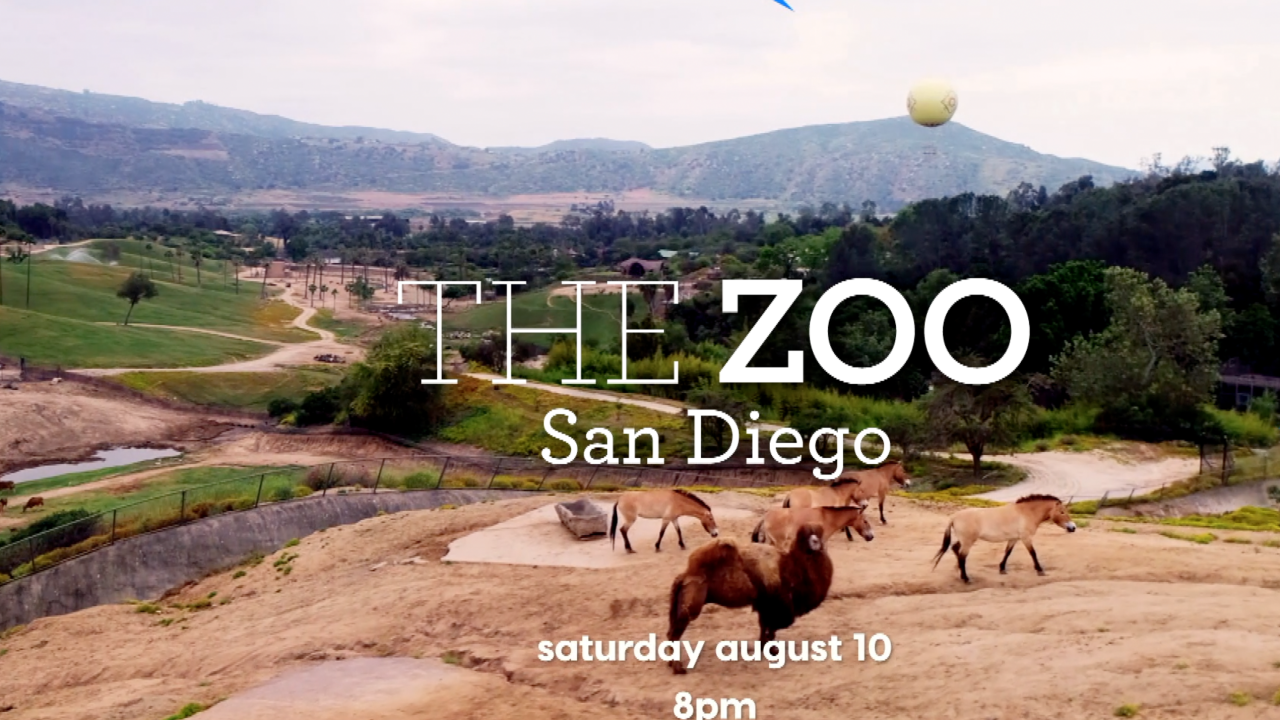 the zoo san diego.png