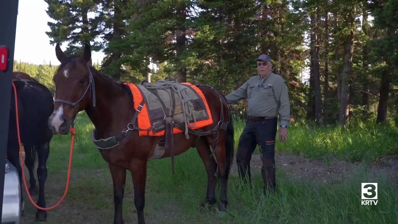 Backcountry horsemen work to clear trails for all