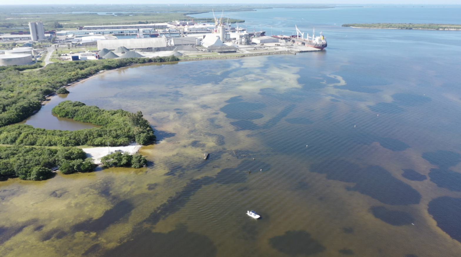 piney point water in tampa bay2.png