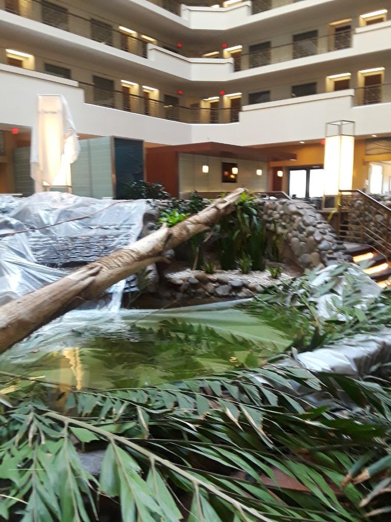 embassy suites tree2.jpeg