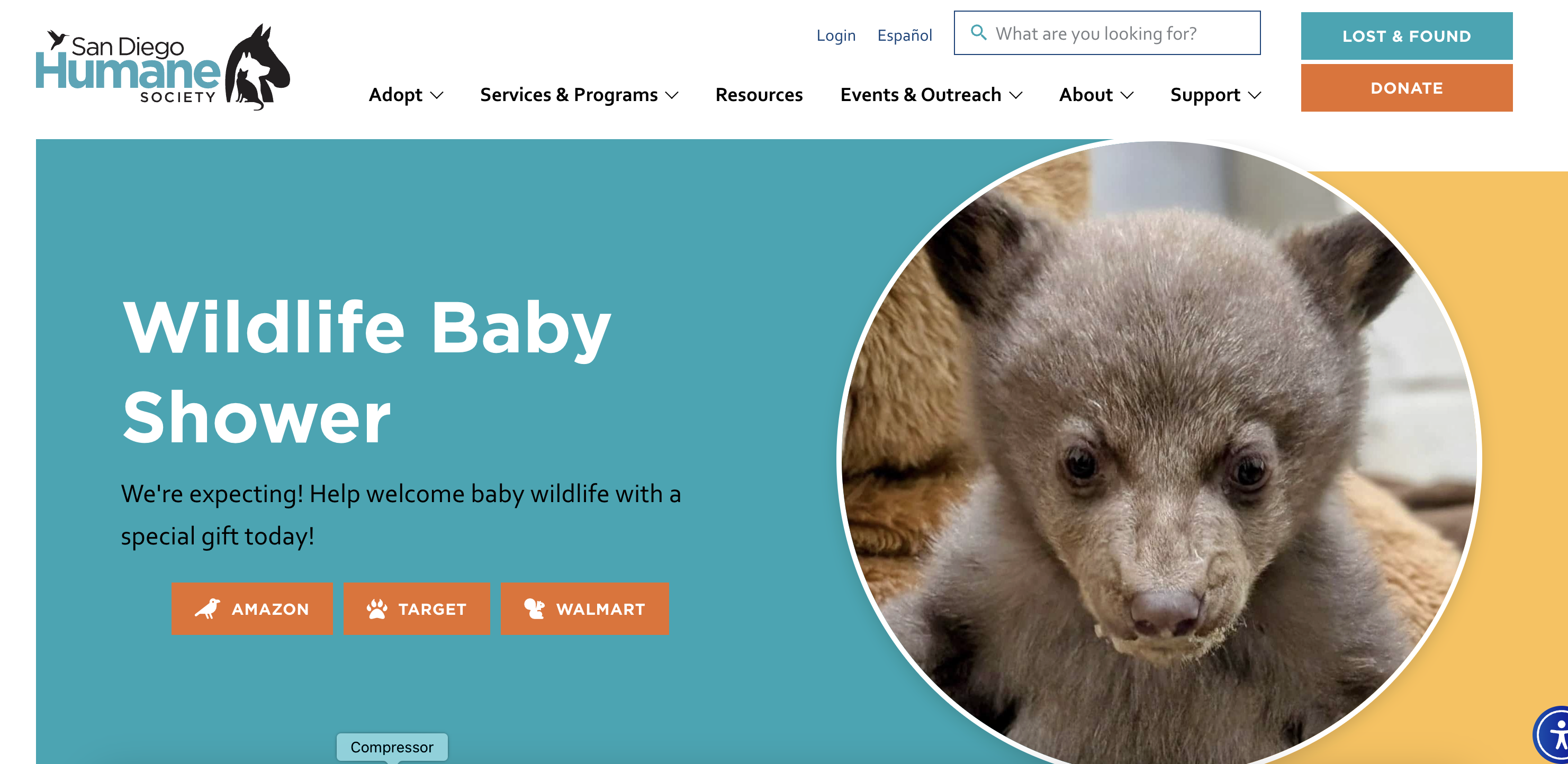 Screenshot 2026-02-03 at 8.27.20 AM.png