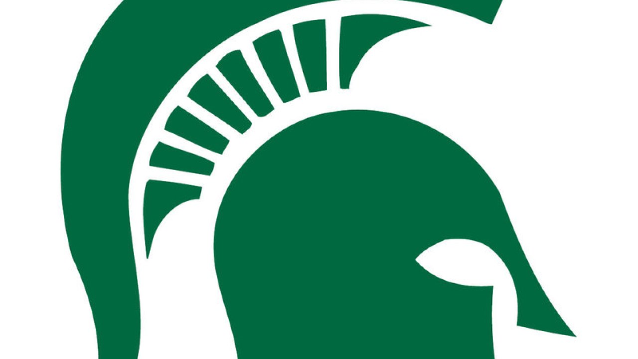 michigan state university msu