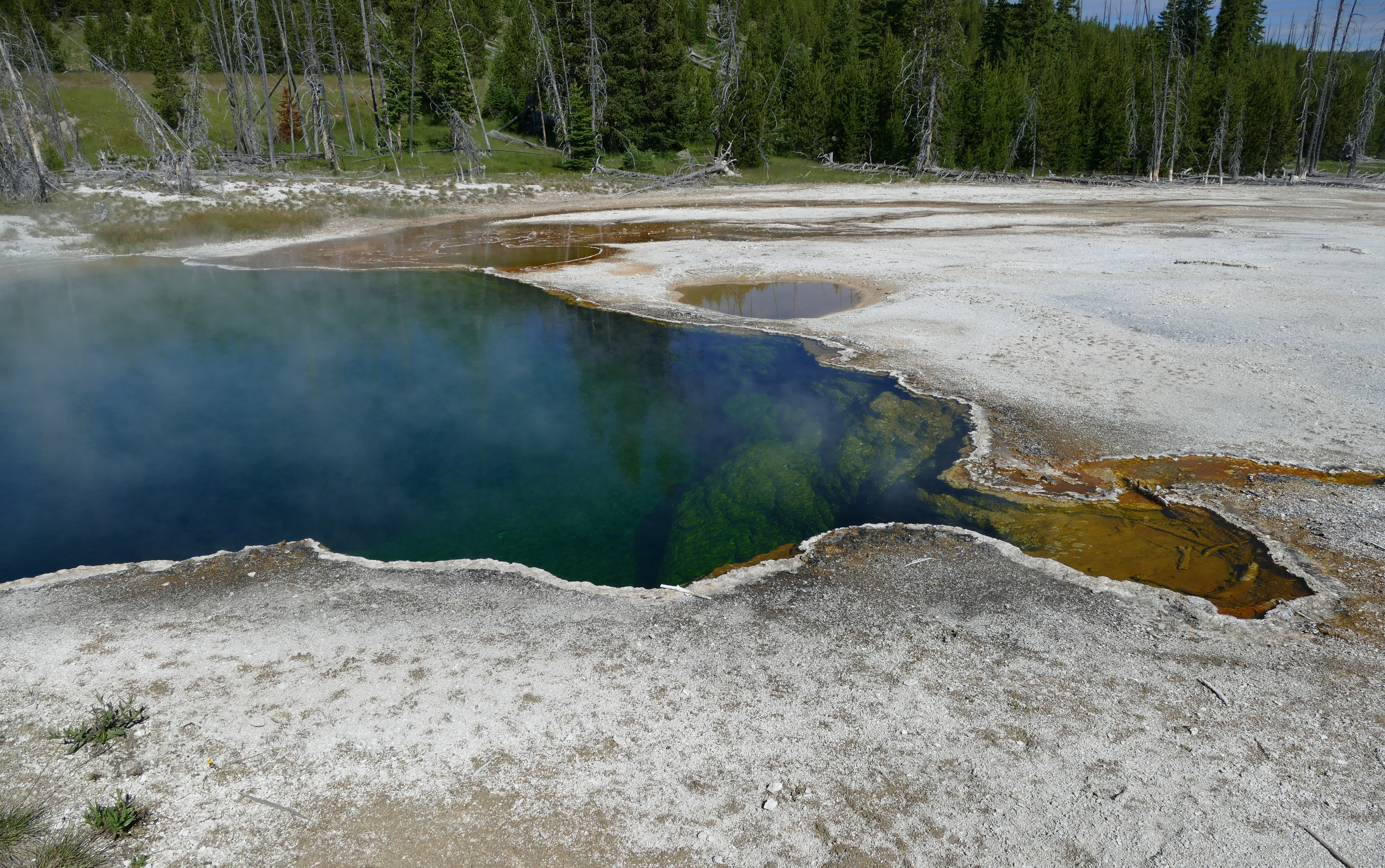 Abyss pool.jpg