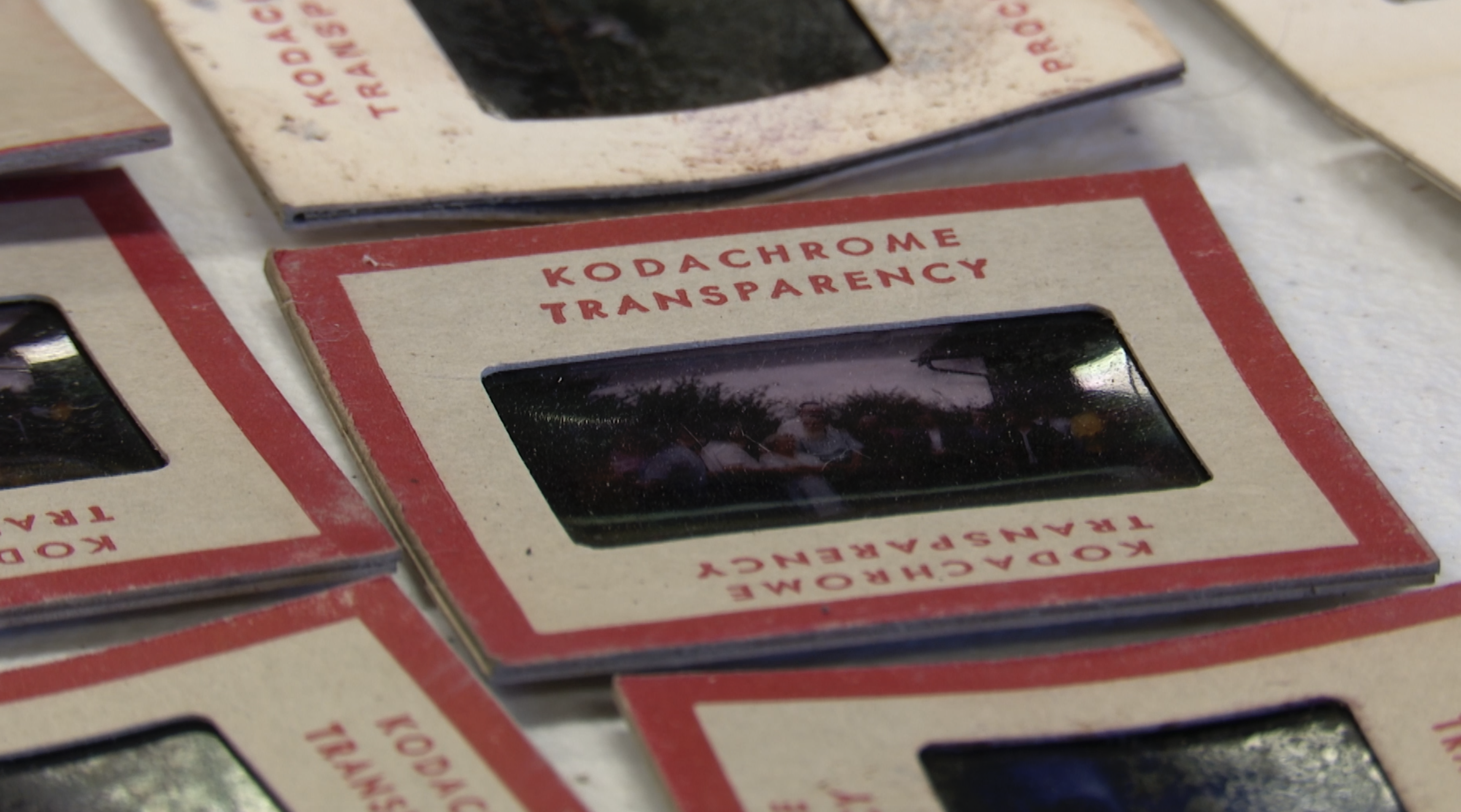 Oscar's Park family history damaged in flooding