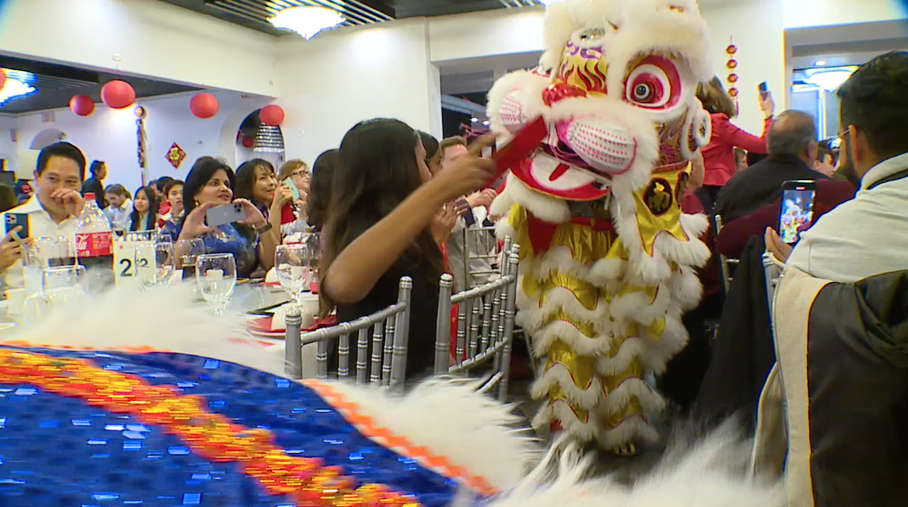 Lunar New Year Gala 2023