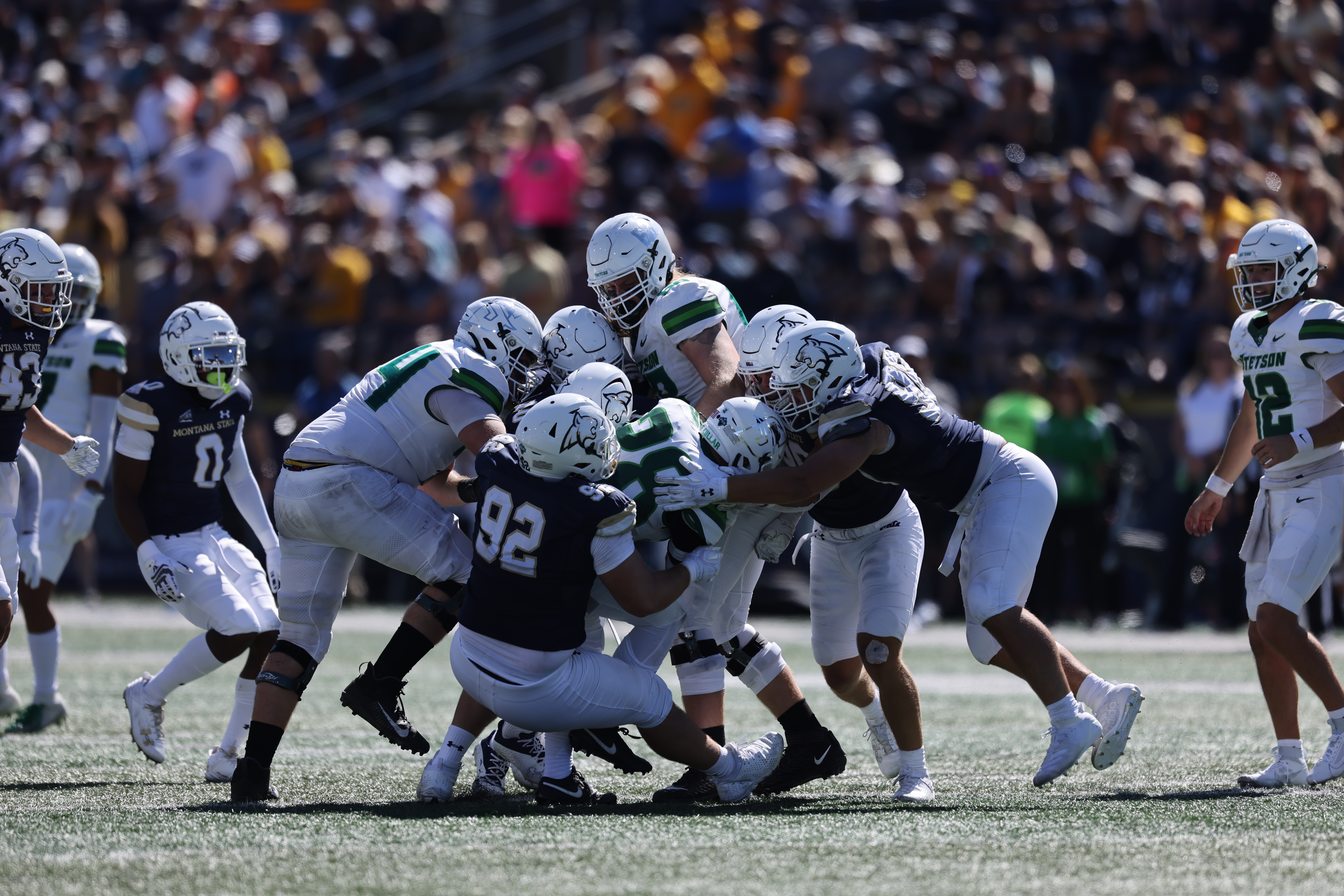 Montana State vs. Stetson