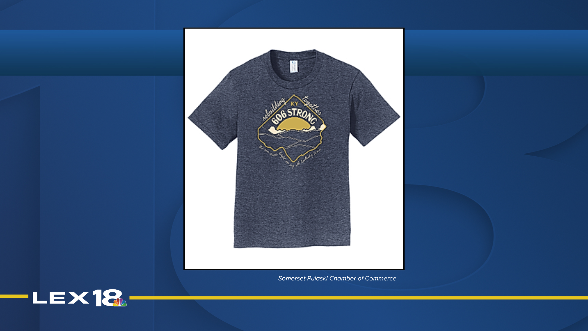 tshirtfundraiser.png