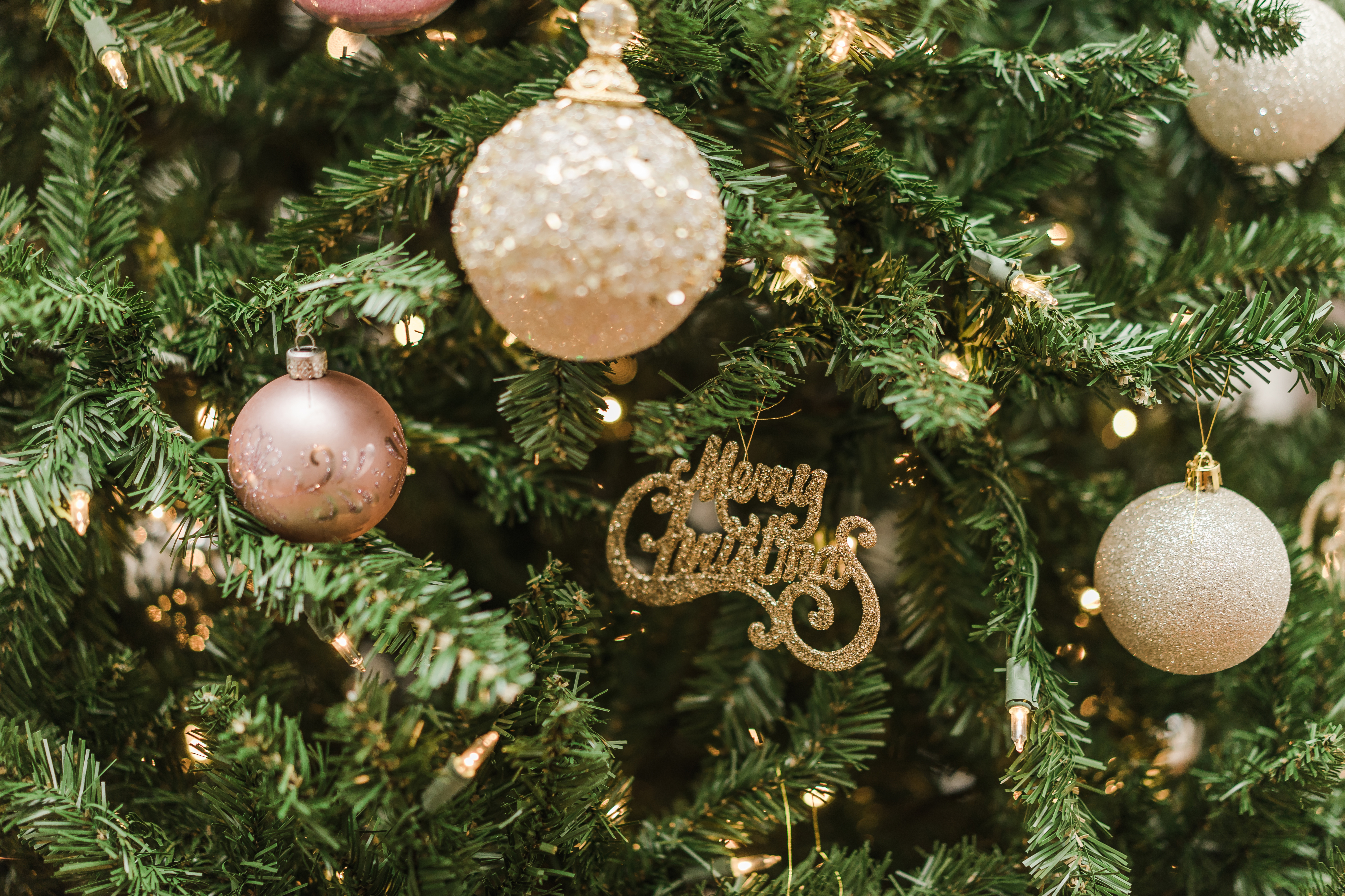 Christmas 2022 Lorain County Where To Recycle Your Christmas Tree In Northeast Ohio