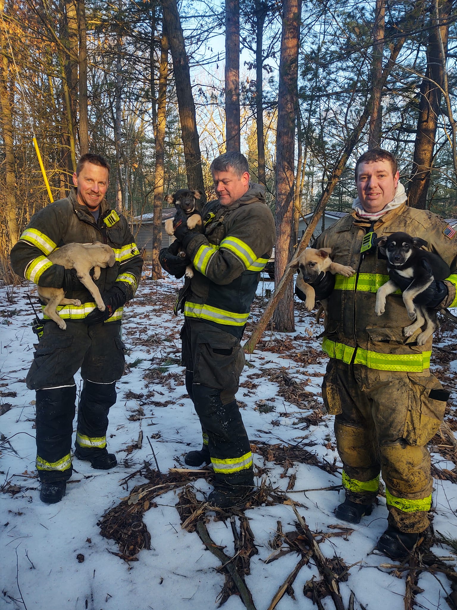 Egelston Township puppies rescued from fire