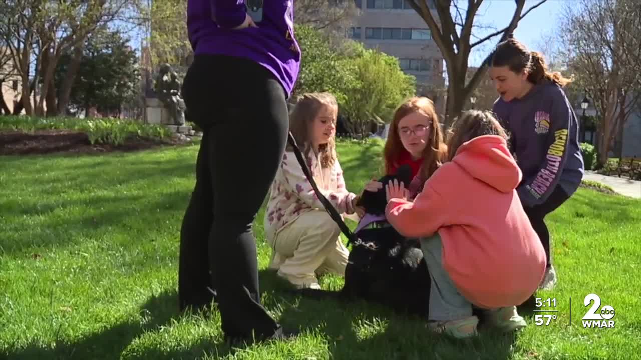 Baltimore County leaders introduce new animal welfare legislation