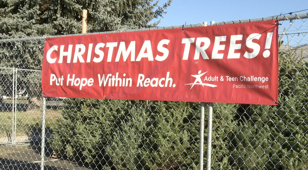 Adult and Teen Challenge Christmas Trees