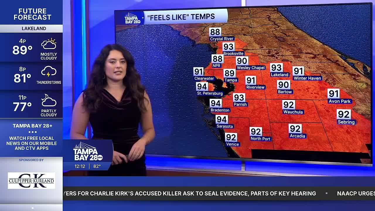 ally forecast 5-20.png
