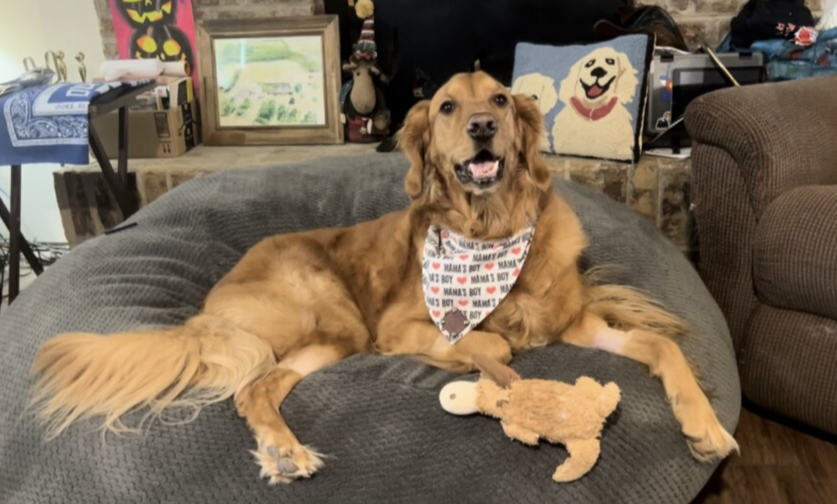 Lorena community coming together to fundraise for local dog's chemotherapy