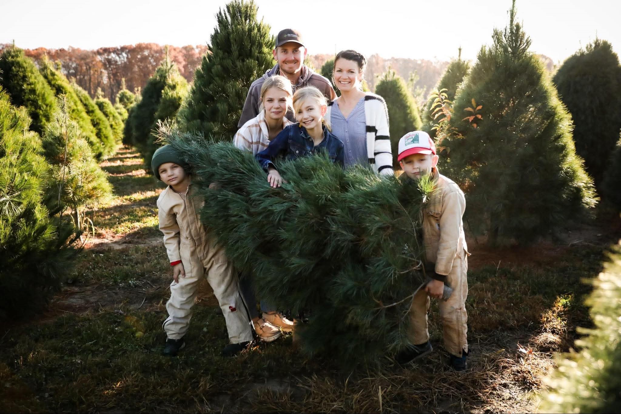 Tree Farm.jpg