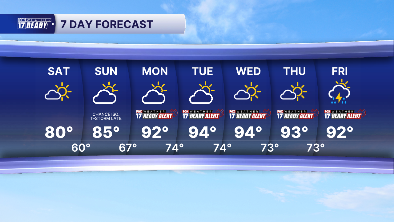 7 DAY FORECAST