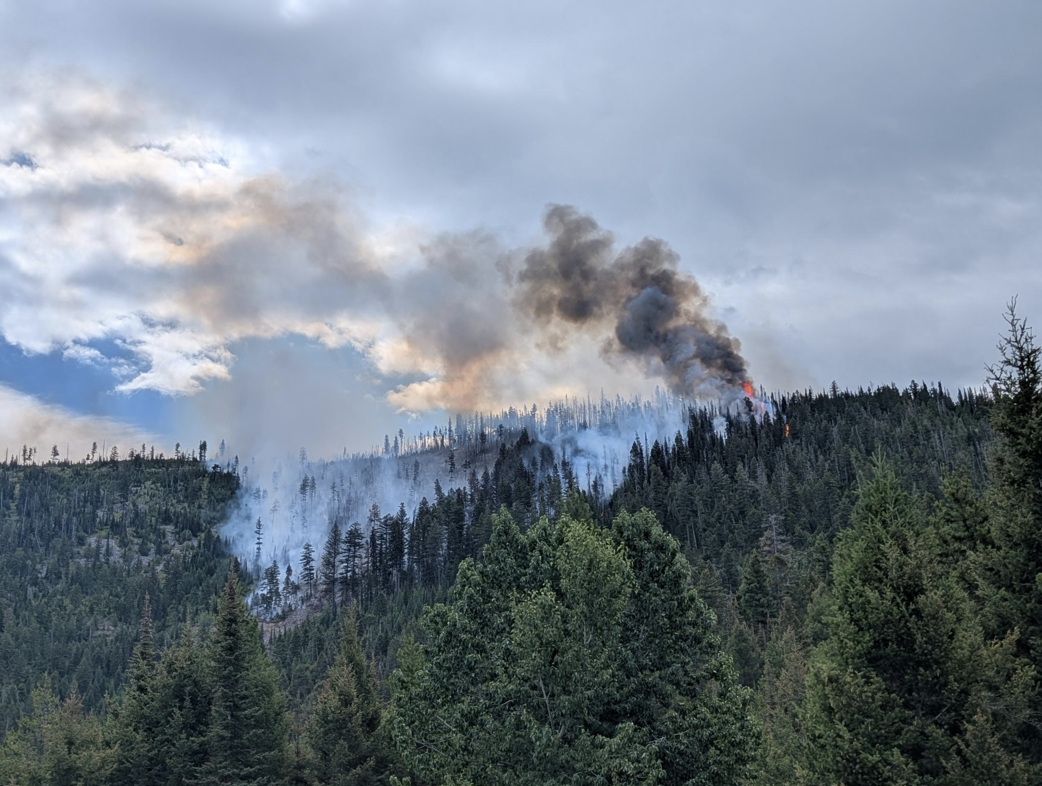 Deer Fire