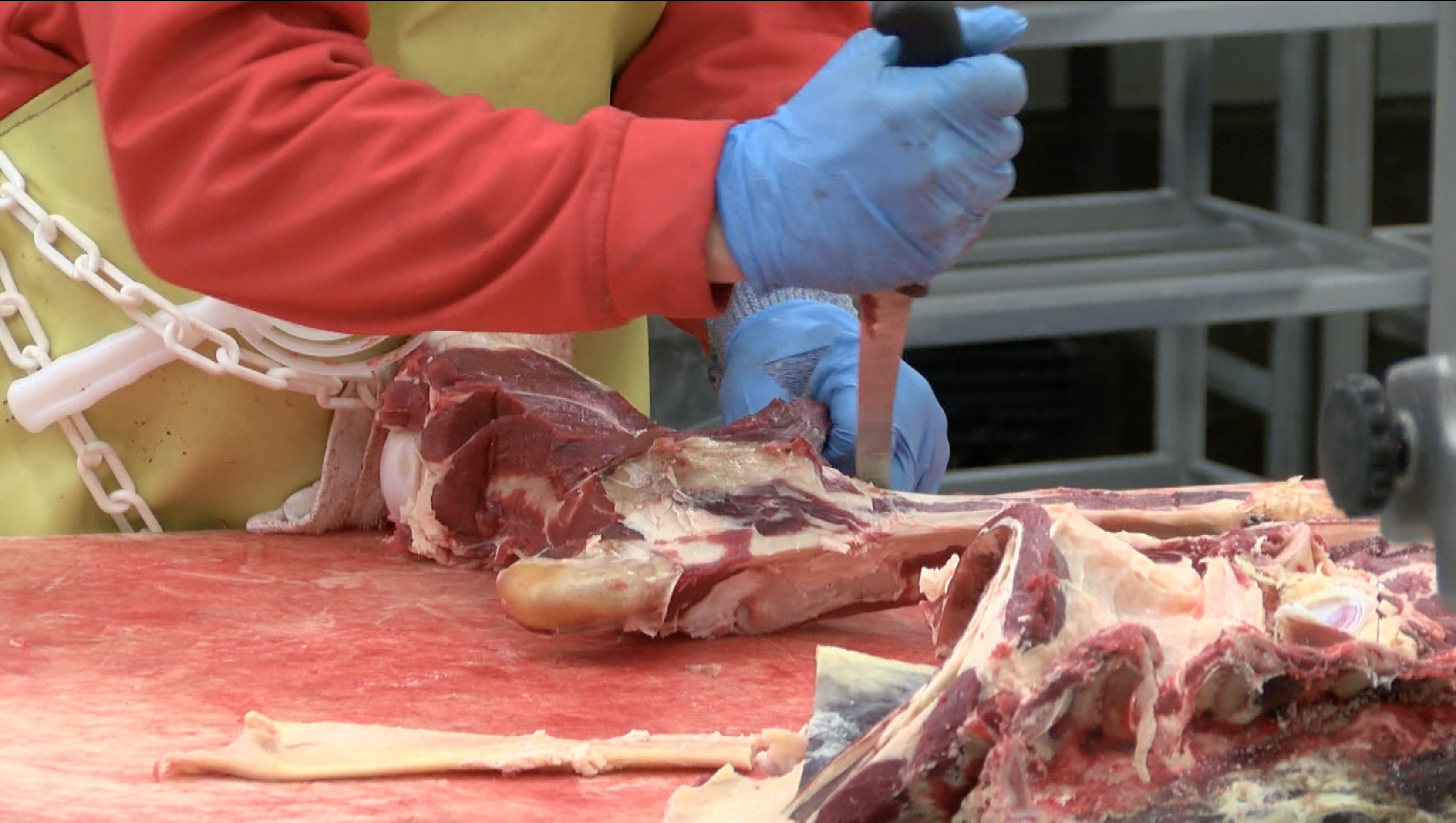 Meat Processing.png