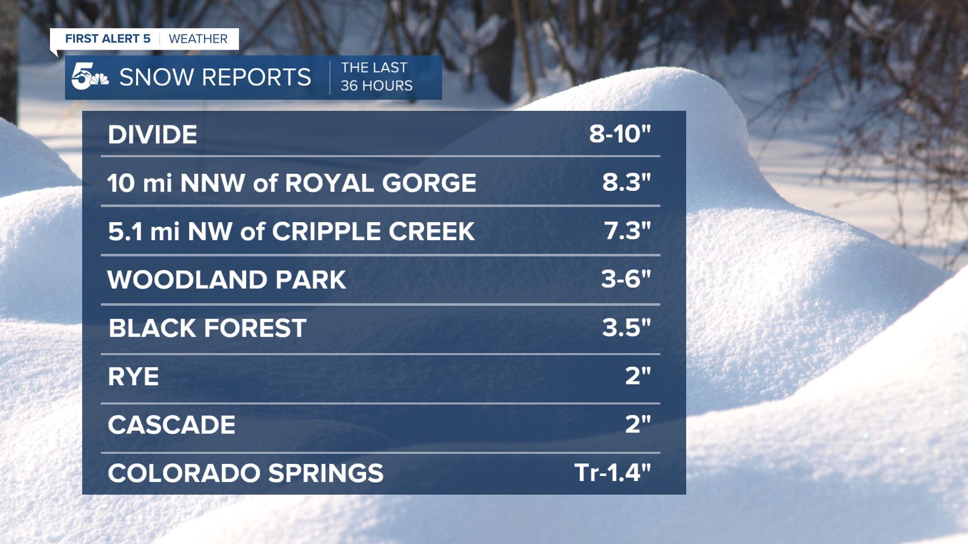 UPDATED Snow Totals