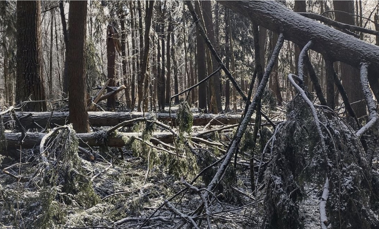 Northern Michigan Ice Storm Damage