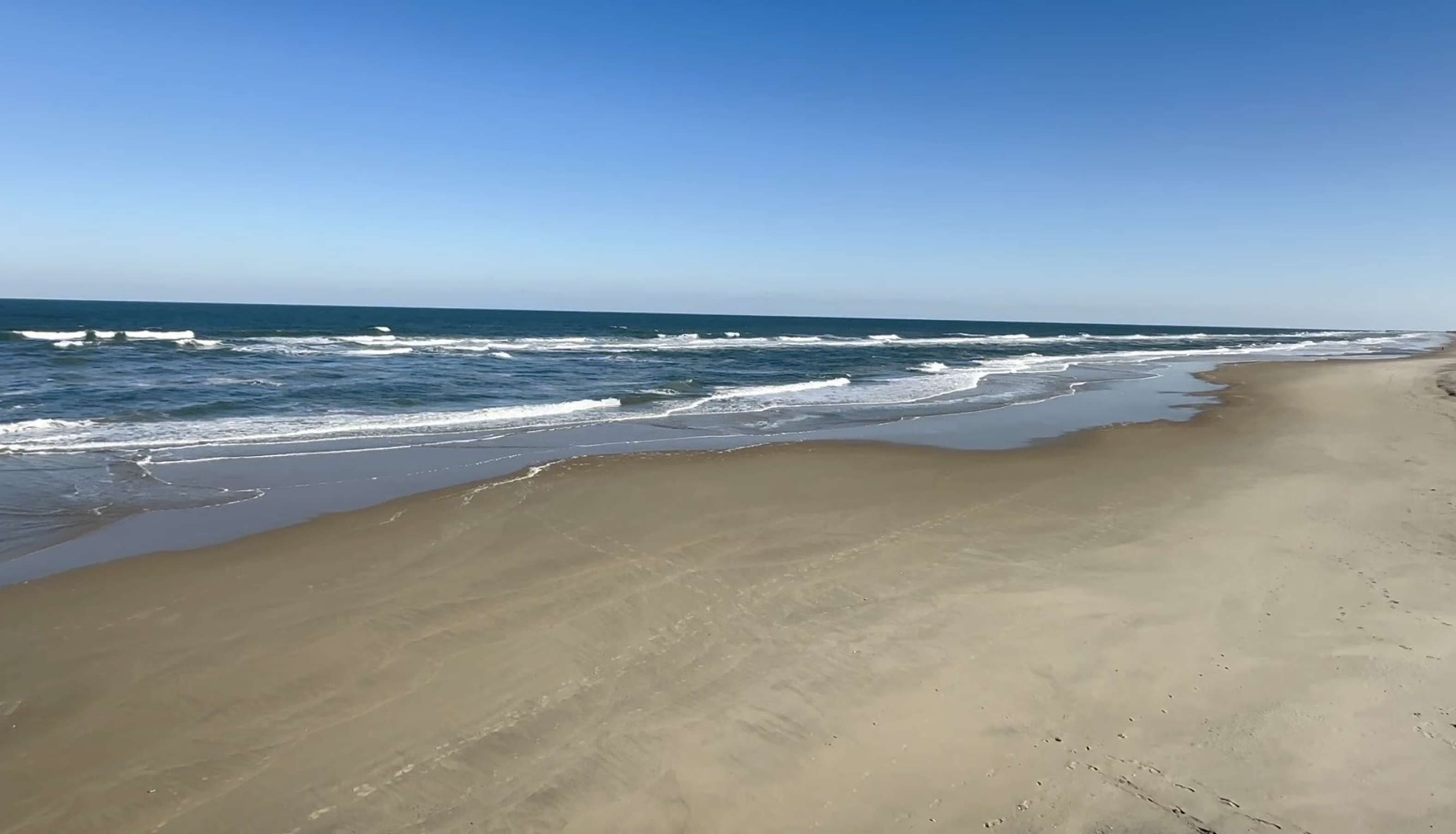 OBX Polar Plunge