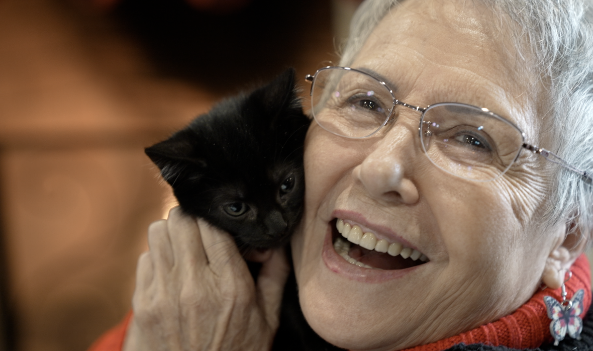 Kitten Therapy day.png