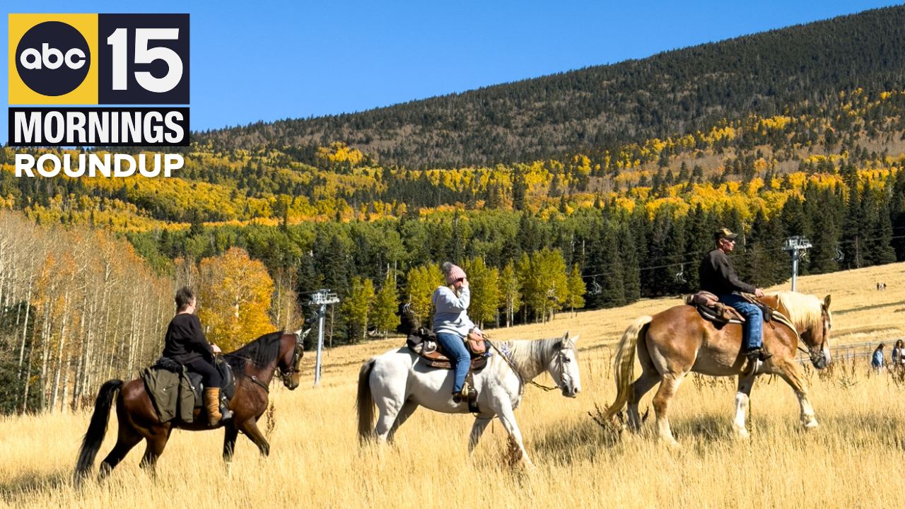 AM Roundup added 10-19-25 2