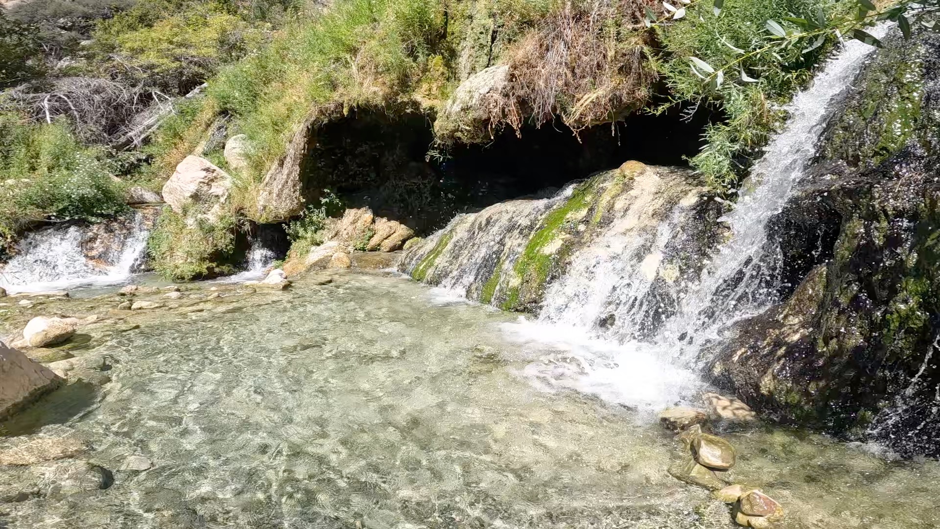 Gold Bug Hot Springs
