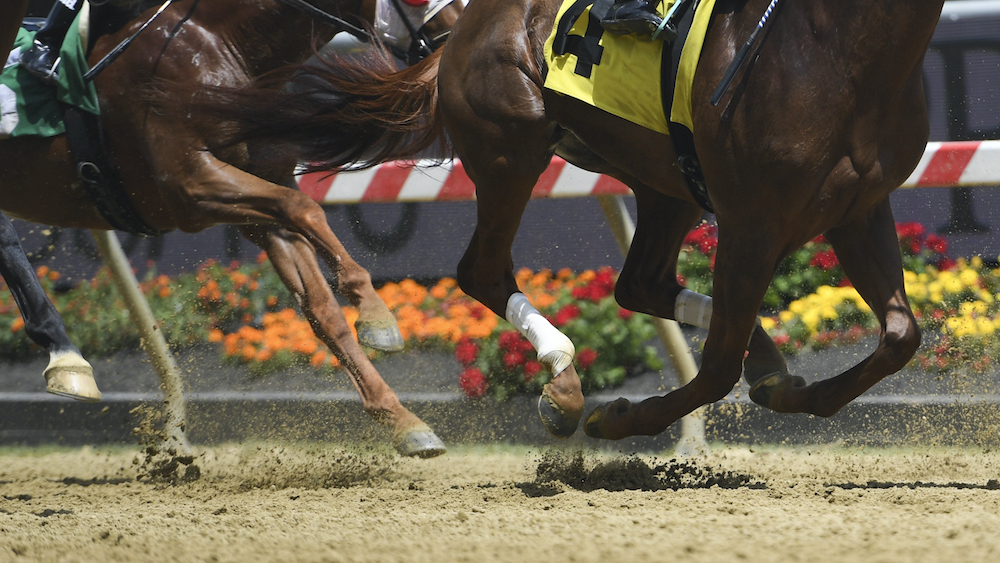 Preakness