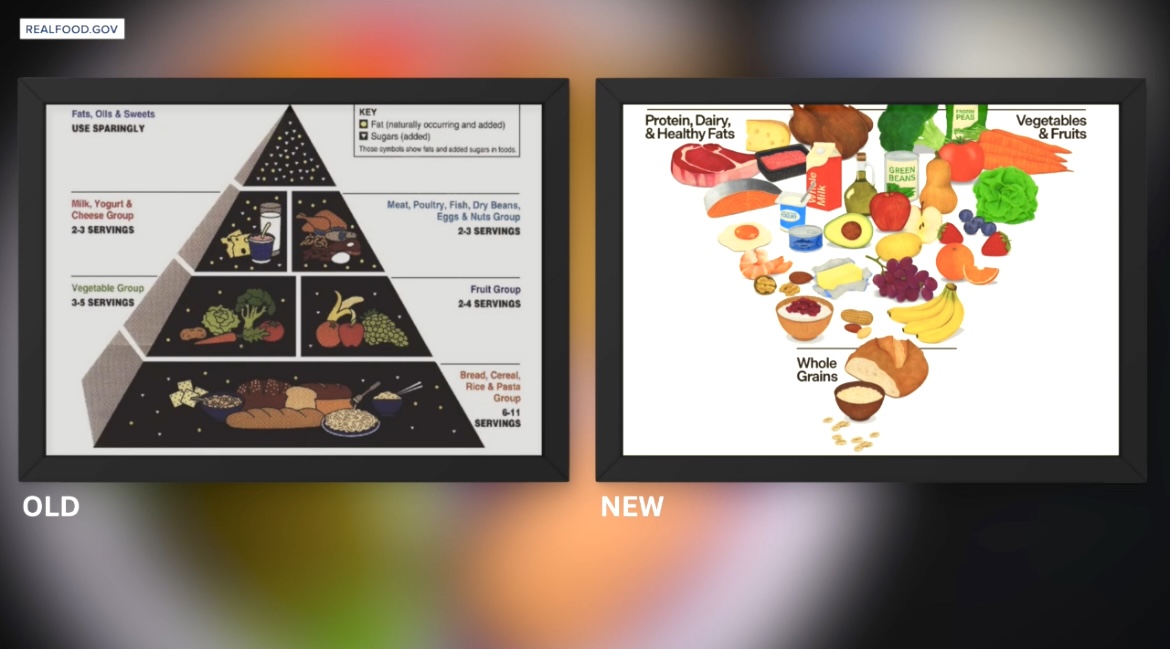 New guidelines turn food pyramid upside down as food prices rise