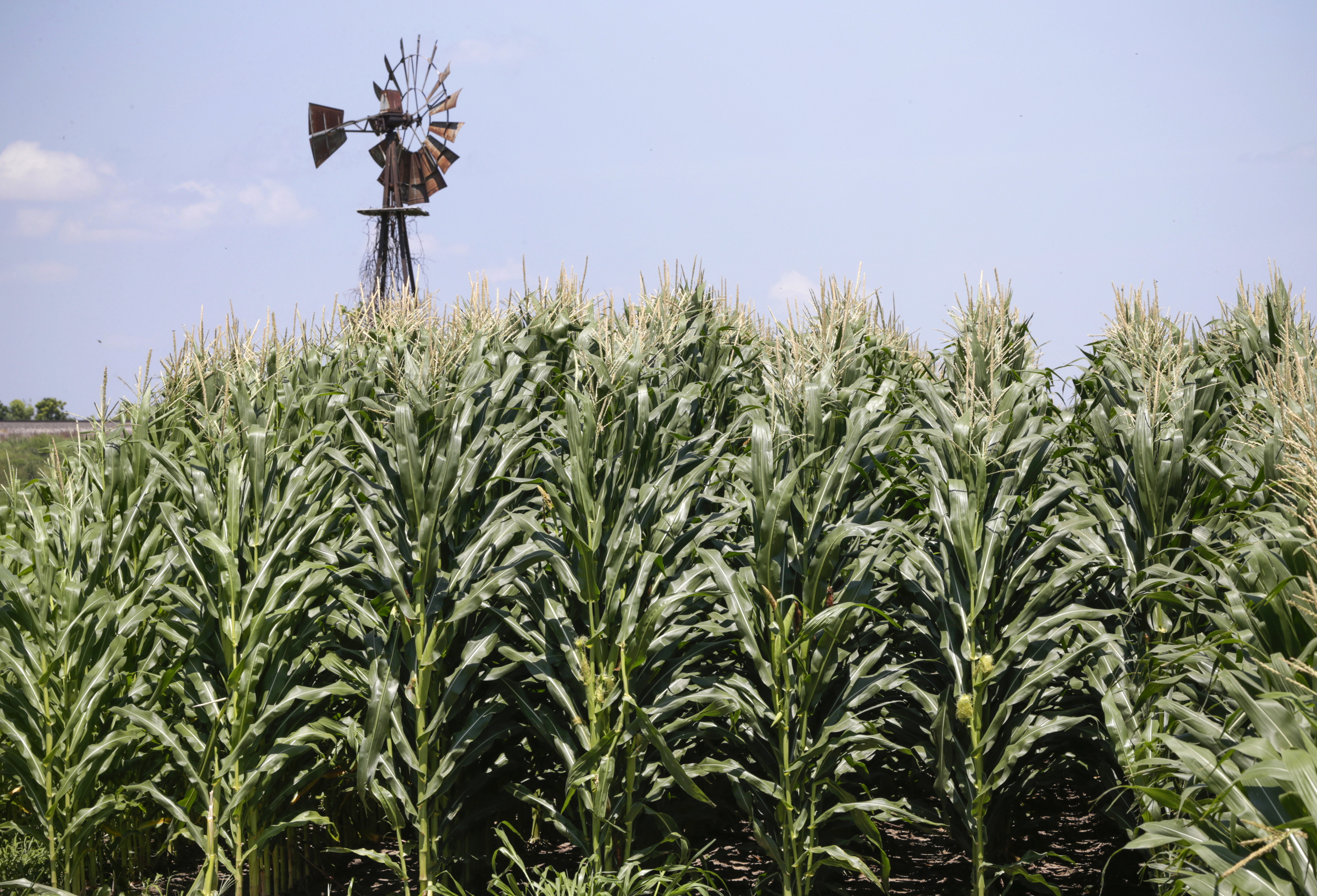 Government Shutdown Farmer Payments