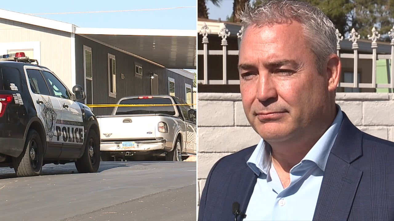 Fatal Domestic Violence Trends