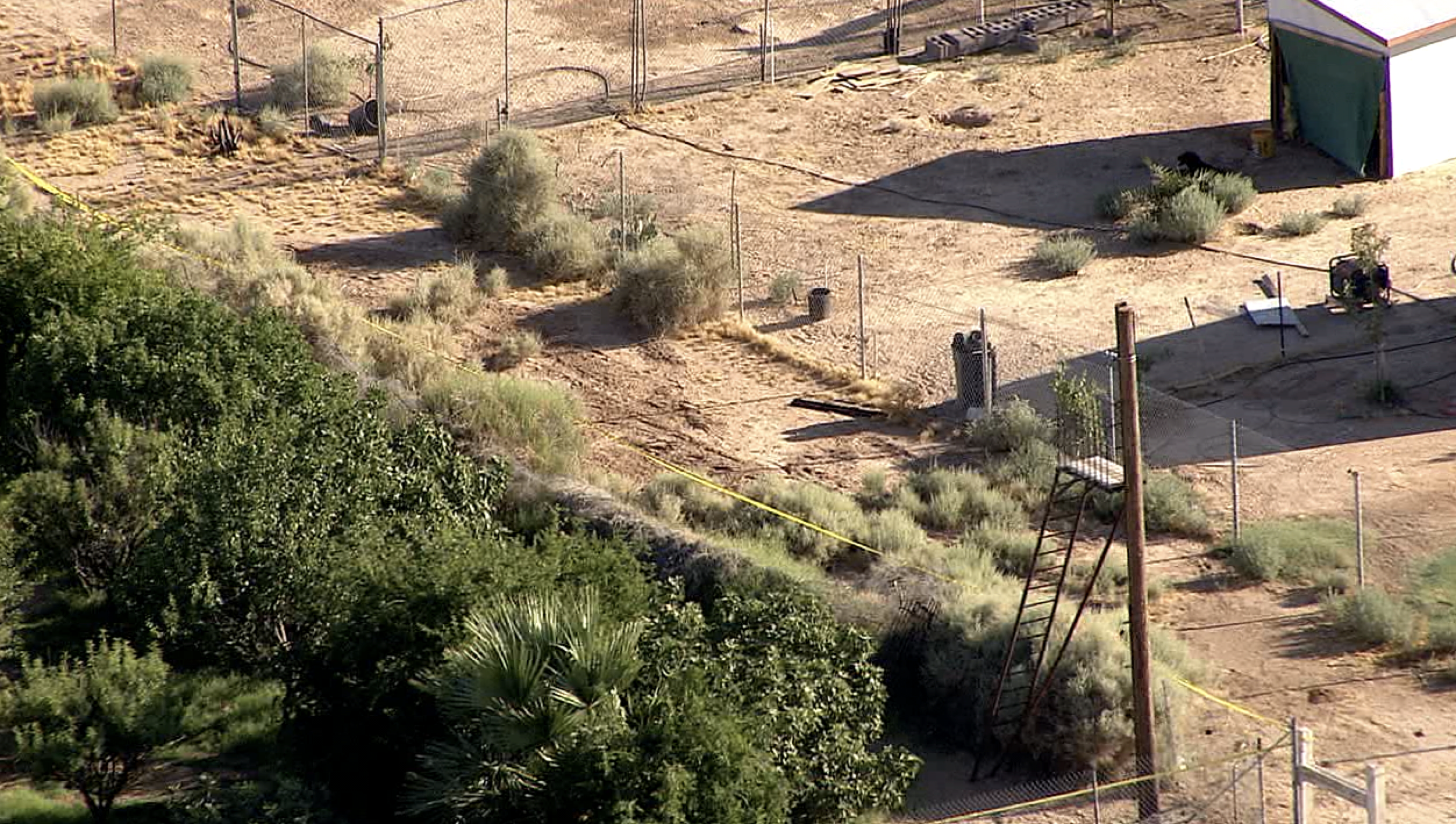 Zip lining accident in Buckeye