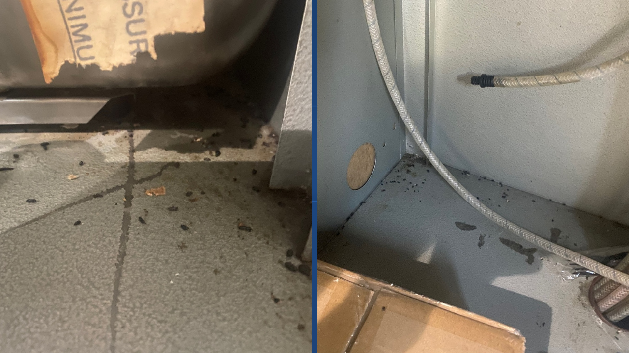 Kern Public Health: Brundage Lane Subway closed due to rodent droppings