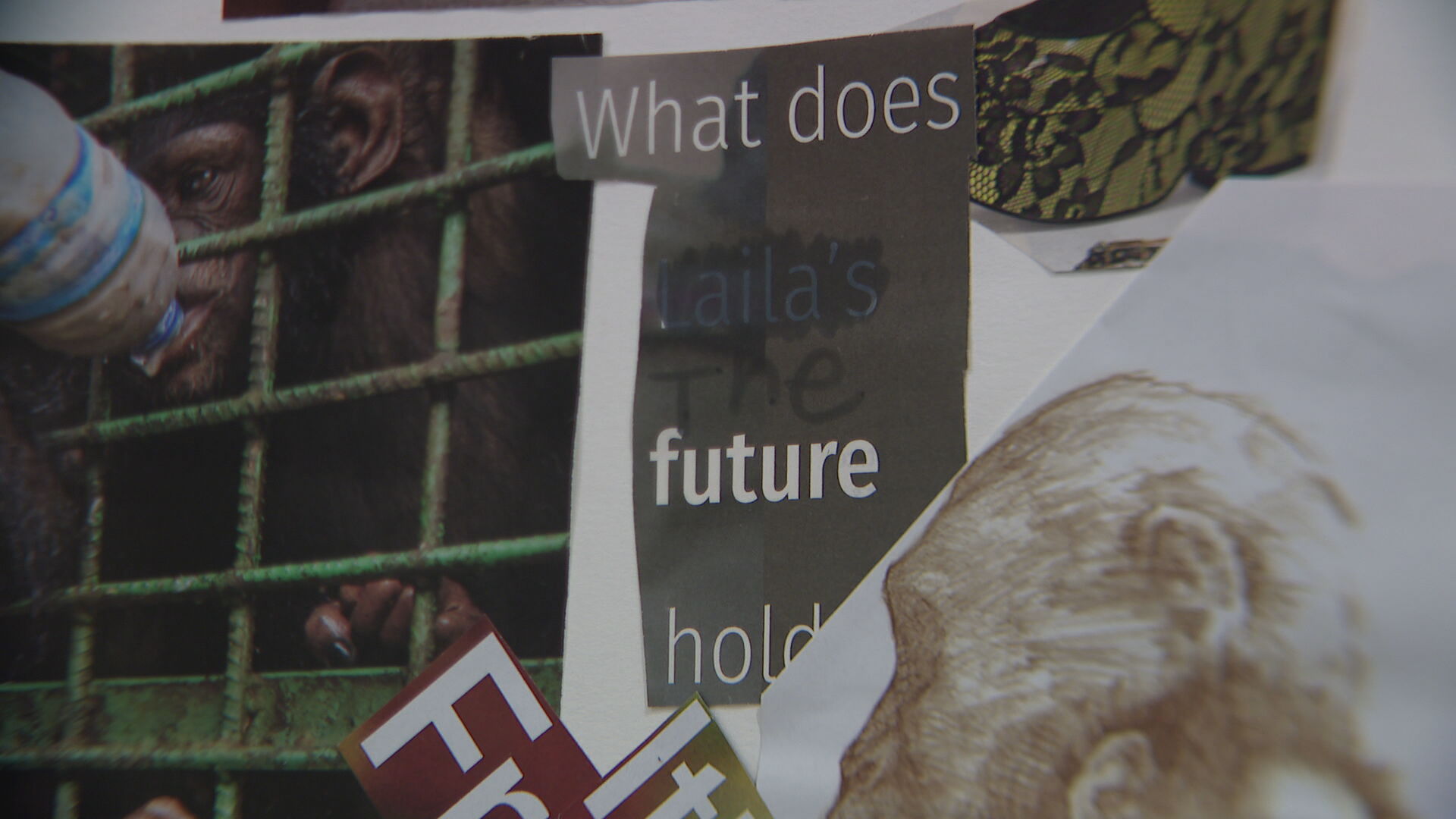 What does the future hold art