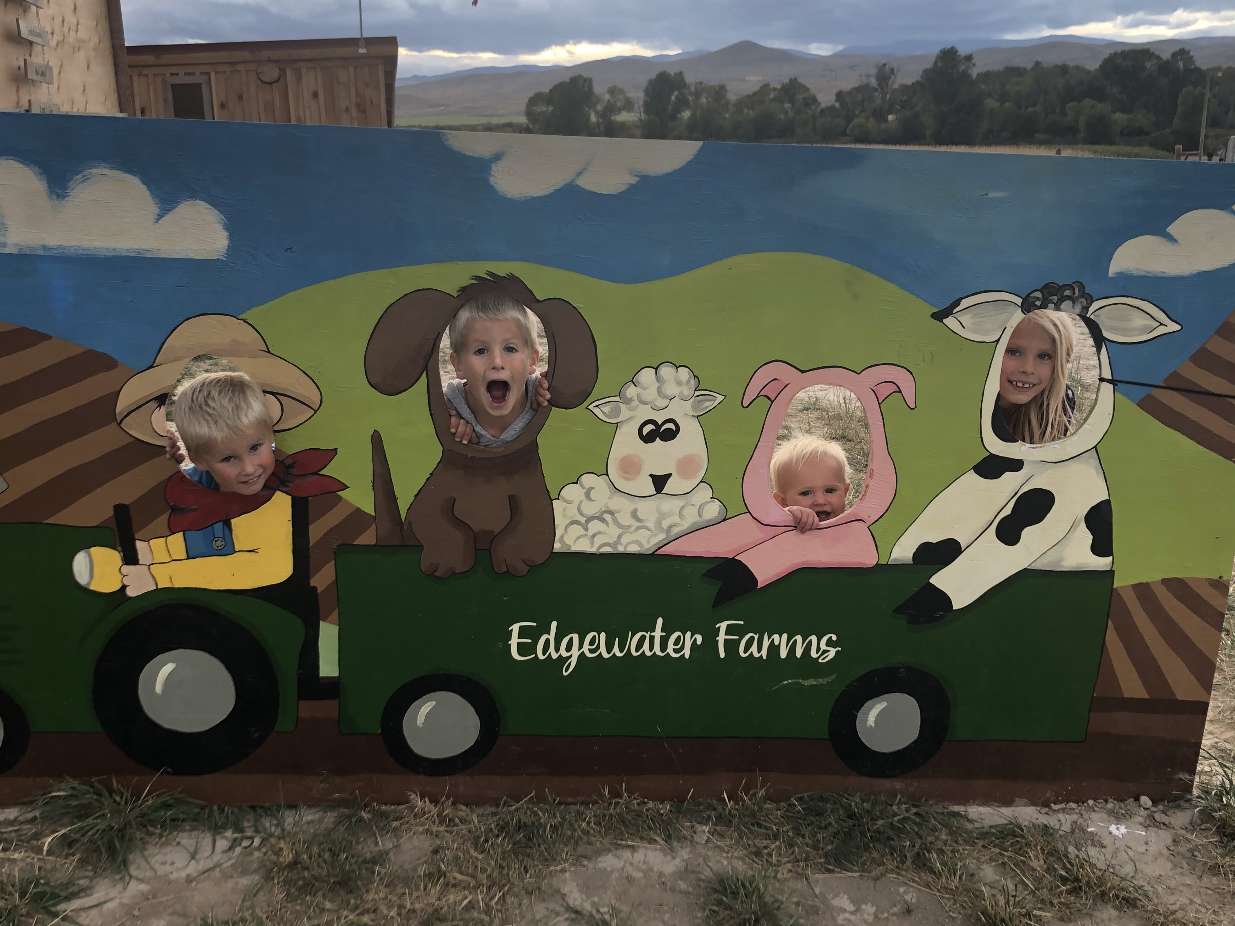 Townsend farm offers family fun with pumpkin patch and corn mazes
