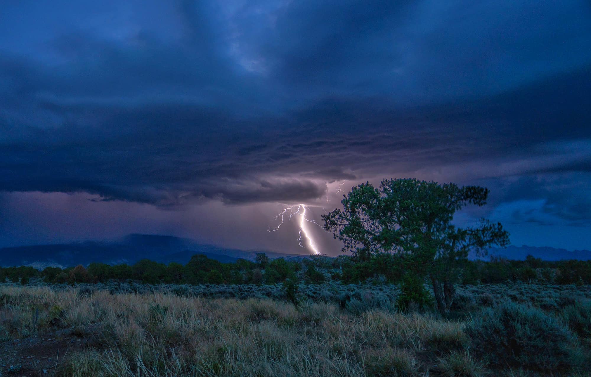 Leah Walter_storm