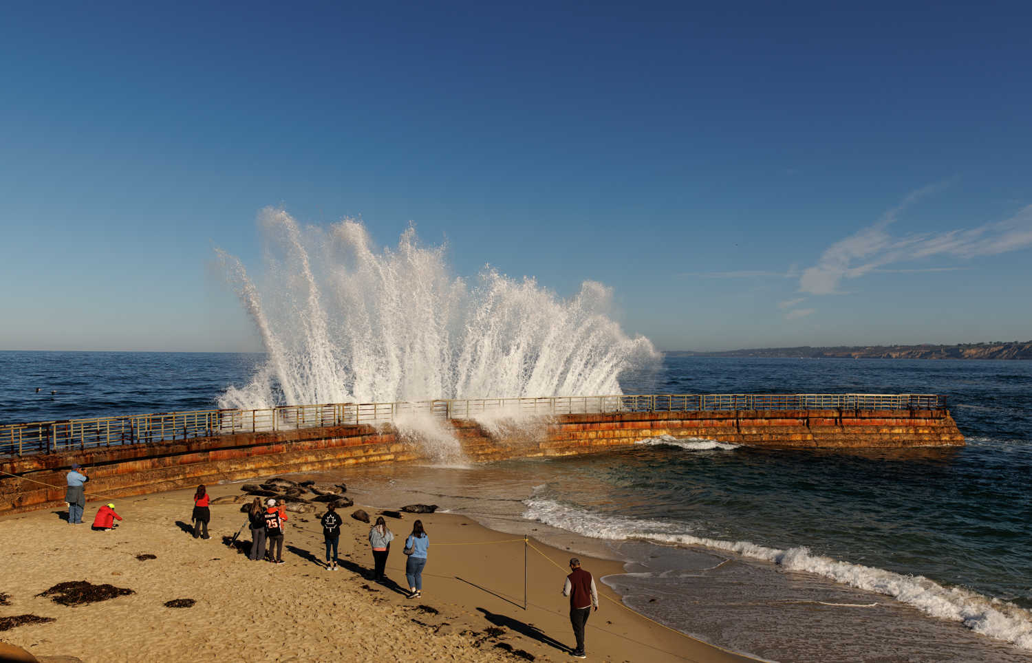 king tide from steve deck.jpg