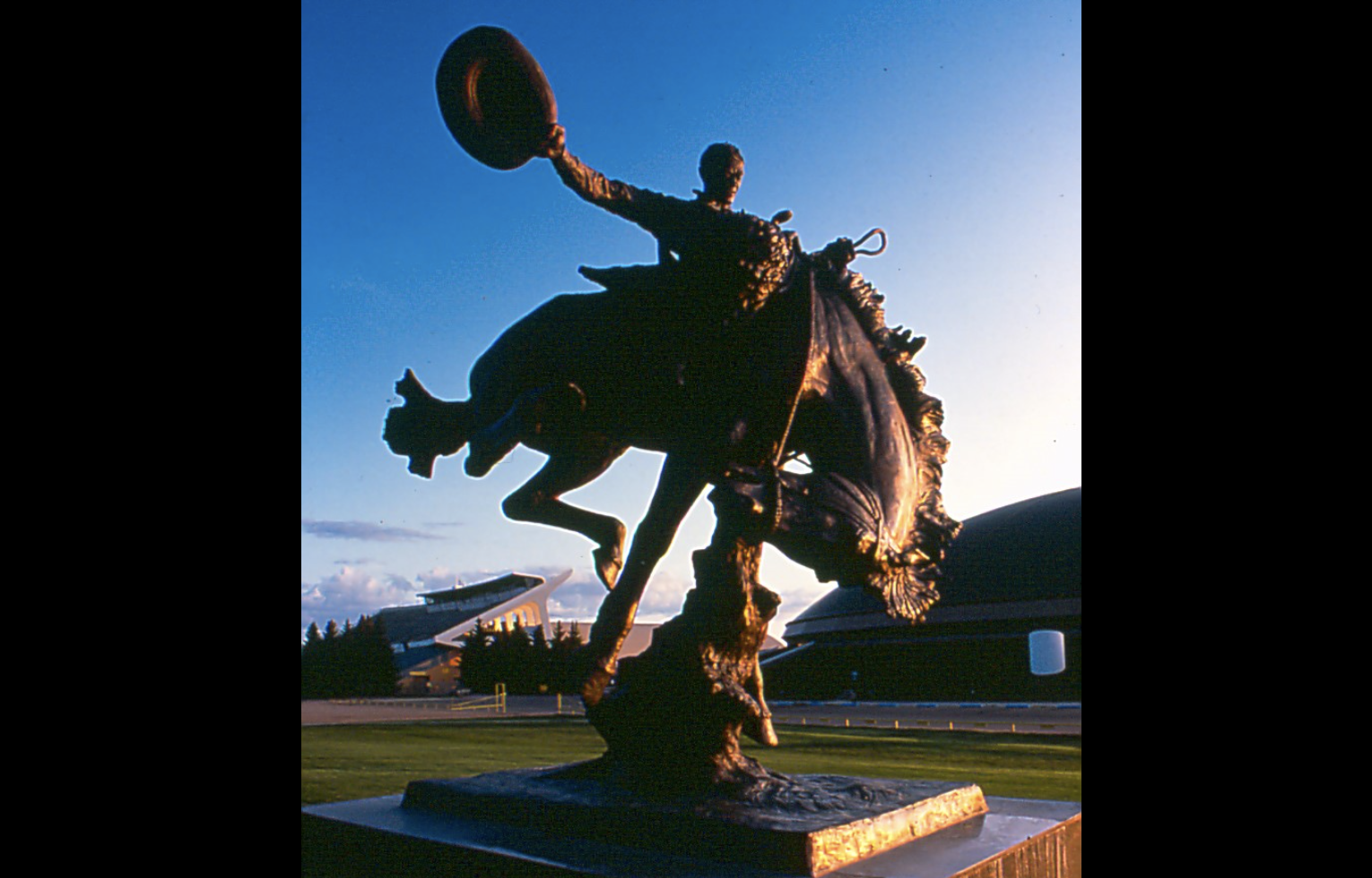 WYO BRONZE.png