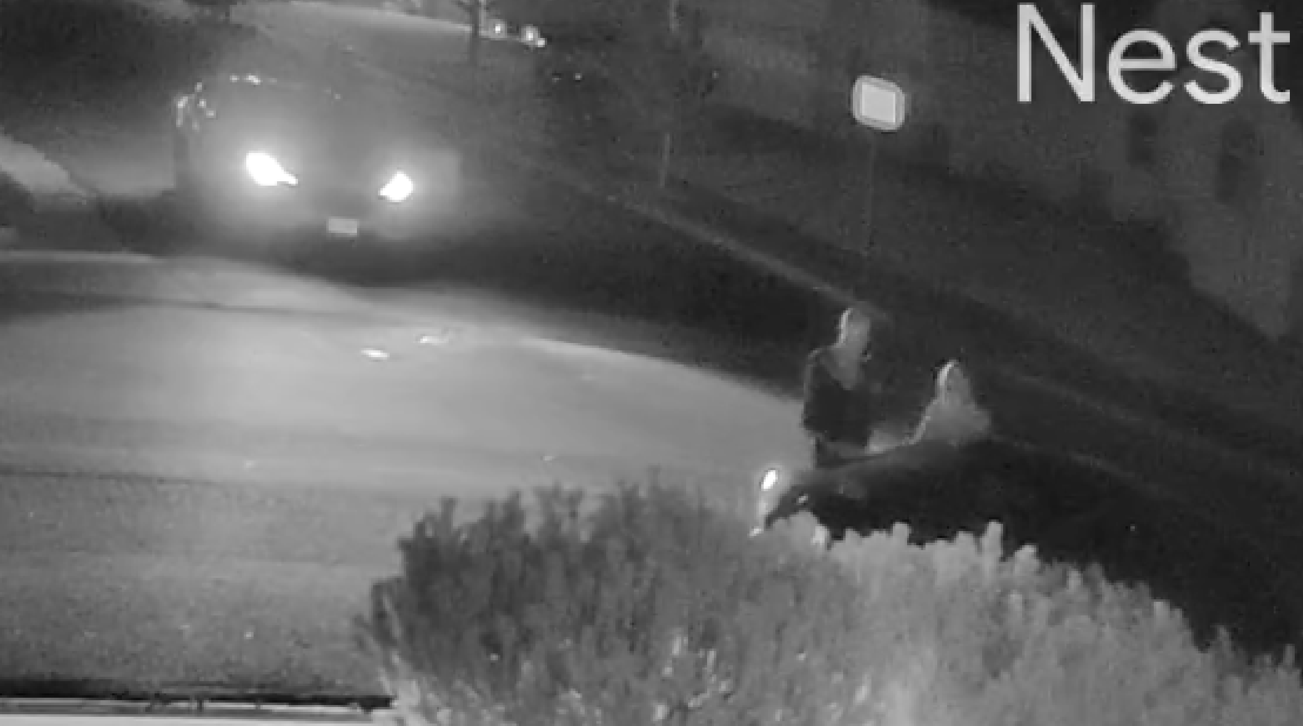 Suspects in shots fired incident