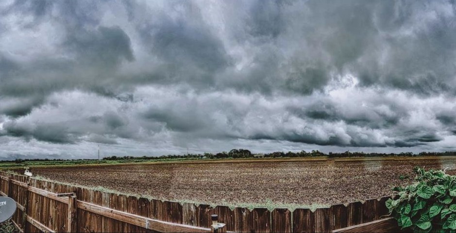 Barry rolls over Lafayette Parrish