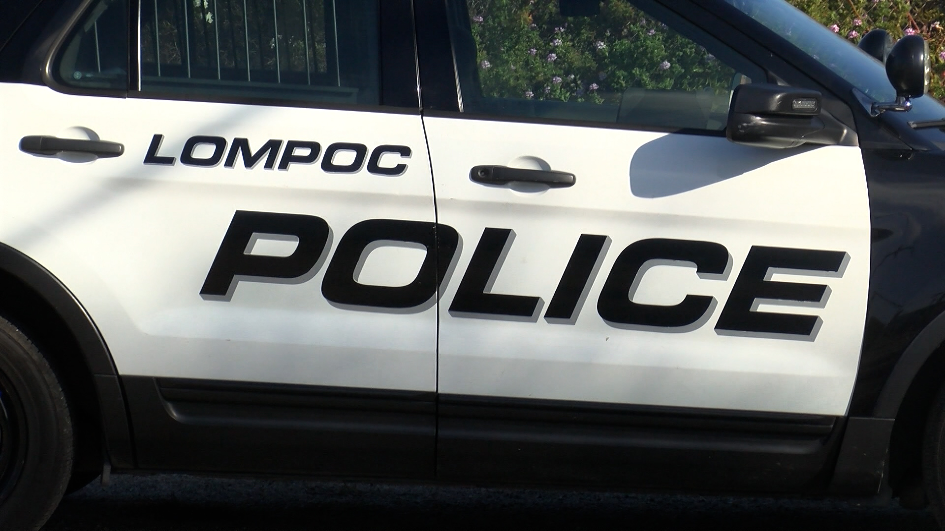 Sequence 01.00_00_35_21.Still001.jpg