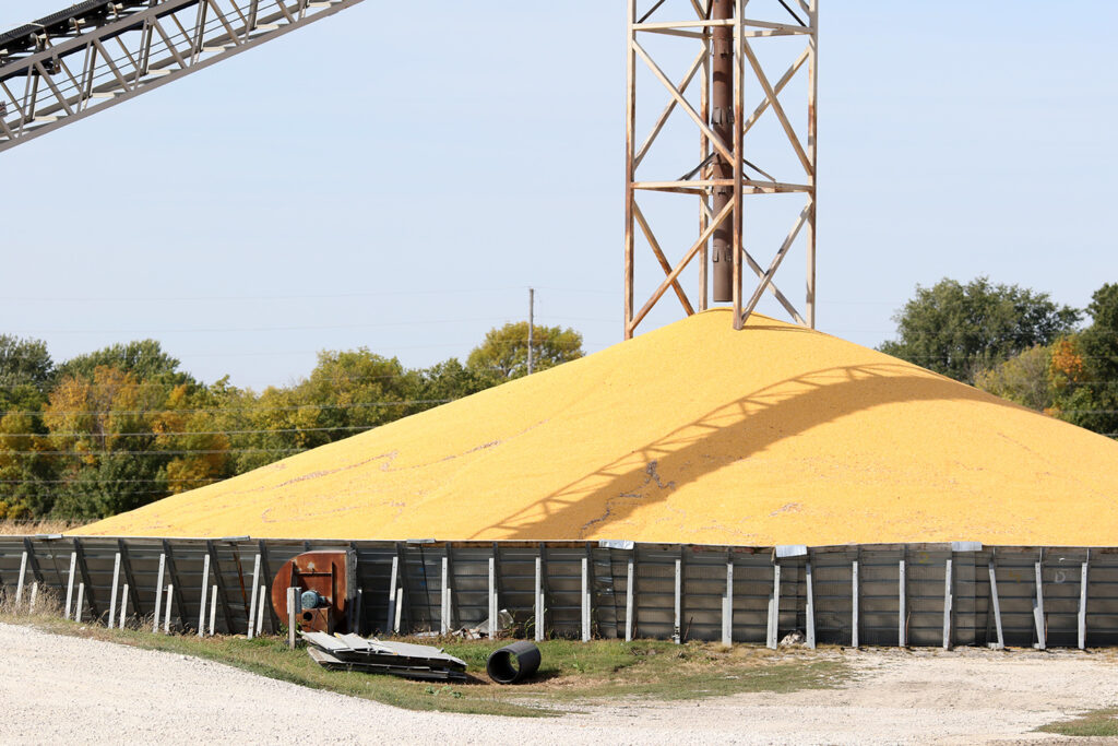 corn-pile-lake-city.jpg
